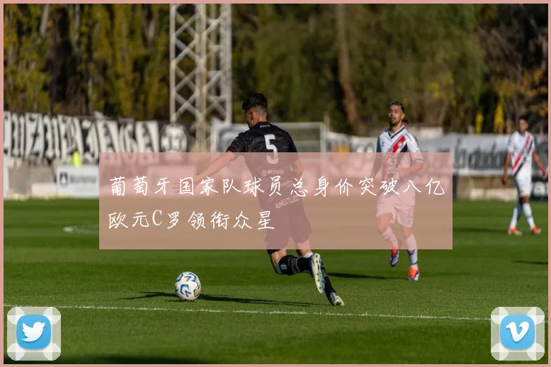 葡萄牙国家队球员总身价突破八亿欧元C罗领衔众星