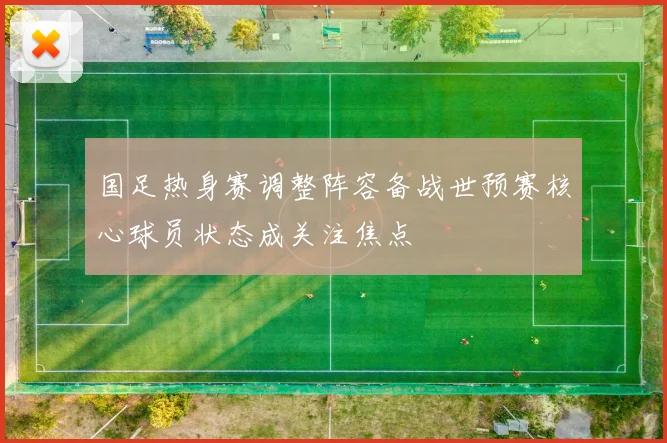 国足热身赛调整阵容备战世预赛核心球员状态成关注焦点