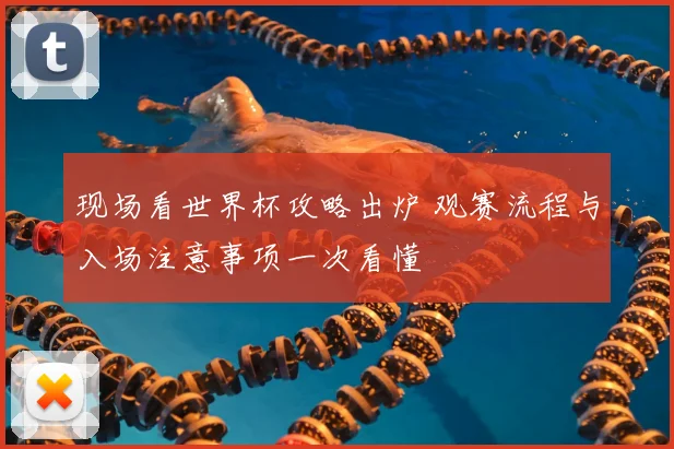 现场看世界杯攻略出炉 观赛流程与入场注意事项一次看懂