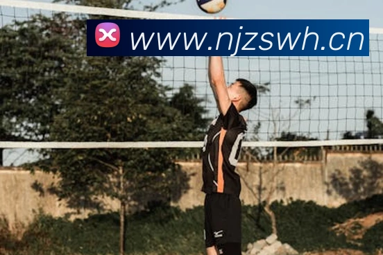 巅峰国际app注册官网平台生态图